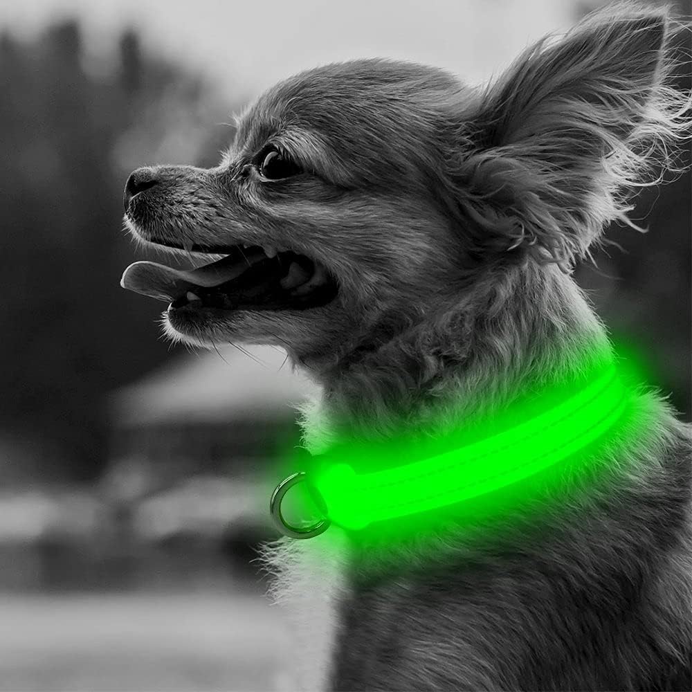 Adjustable LED Dog & Cat Collar - Rechargeable, Small Breeds, Green, 8.5-11.8 Inches, Nylon, Lightweight, Reflective, 2 Flash Modes